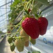 ヒメ日記 2025/04/07 21:18 投稿 アイリ Celeb Garden(セレブガーデン)