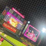 ヒメ日記 2025/08/06 19:55 投稿 アイリ Celeb Garden(セレブガーデン)