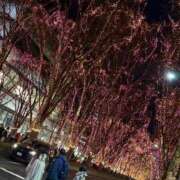 ヒメ日記 2025/12/14 20:33 投稿 アイリ Celeb Garden(セレブガーデン)