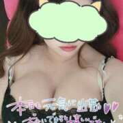 ヒメ日記 2026/01/18 20:18 投稿 アイリ Celeb Garden(セレブガーデン)