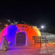 ヒメ日記 2026/02/16 11:18 投稿 アイリ Celeb Garden(セレブガーデン)