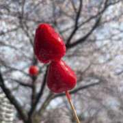 ヒメ日記 2026/04/06 15:48 投稿 アイリ Celeb Garden(セレブガーデン)