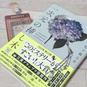 ヒメ日記 2025/04/25 17:30 投稿 なつき 11チャンネル