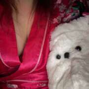 ヒメ日記 2025/12/12 20:22 投稿 ココネ クレイジーホース