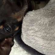 ココネ 2/27いません。ごめんなさい。 クレイジーホース