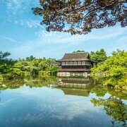 ヒメ日記 2026/01/15 12:49 投稿 清水りょう Matriarch(マトリアルカ)