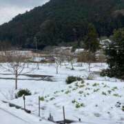 ヒメ日記 2025/01/13 11:12 投稿 こはく consolation