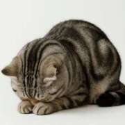 ヒメ日記 2025/09/24 12:25 投稿 こはく consolation