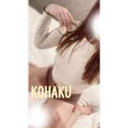 ヒメ日記 2025/09/29 21:09 投稿 こはく consolation