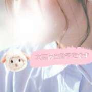 ヒメ日記 2025/10/25 10:04 投稿 こはく consolation