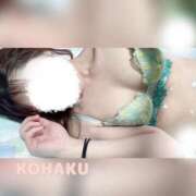 ヒメ日記 2025/11/14 15:26 投稿 こはく consolation