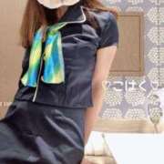 ヒメ日記 2026/01/16 23:08 投稿 こはく consolation