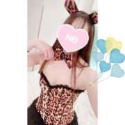 ヒメ日記 2026/02/12 09:13 投稿 こはく consolation