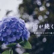 ヒメ日記 2026/07/05 22:42 投稿 こはく consolation