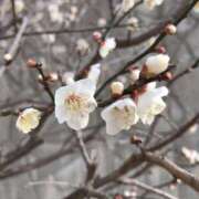 ヒメ日記 2026/01/28 09:54 投稿 松田 千香 福岡 大人女子のちょっとHな専門店