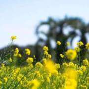 ヒメ日記 2026/02/11 12:04 投稿 松田 千香 福岡 大人女子のちょっとHな専門店