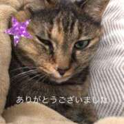 ヒメ日記 2026/02/19 18:15 投稿 松田 千香 福岡 大人女子のちょっとHな専門店