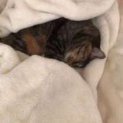 ヒメ日記 2026/02/25 11:32 投稿 松田 千香 福岡 大人女子のちょっとHな専門店