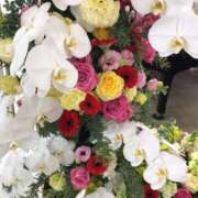 ヒメ日記 2026/02/26 23:11 投稿 松田 千香 福岡 大人女子のちょっとHな専門店