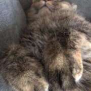 ヒメ日記 2026/02/27 08:51 投稿 松田 千香 福岡 大人女子のちょっとHな専門店