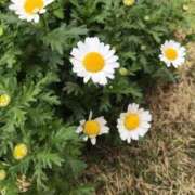 松田 千香 おはようございます😄✨ 福岡 大人女子のちょっとHな専門店