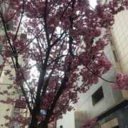 ヒメ日記 2026/03/23 08:52 投稿 松田 千香 福岡 大人女子のちょっとHな専門店