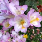 ヒメ日記 2026/04/13 17:31 投稿 松田 千香 福岡 大人女子のちょっとHな専門店