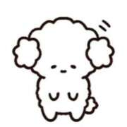 ヒメ日記 2026/02/20 19:36 投稿 はな チェリーデイズ