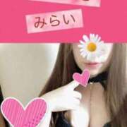 ヒメ日記 2024/12/29 09:21 投稿 みらい 恋のうた
