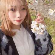 ヒメ日記 2025/04/16 17:42 投稿 りず 君と！ヤリスギ学園～舐めたくてグループ町田校～