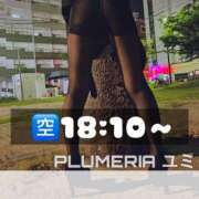 ヒメ日記 2024/05/20 14:23 投稿 ユミ◆未経験学生 PLUMERIA（プルメリア）