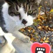 ヒメ日記 2025/01/11 07:14 投稿 美優（みゆ） ビッグバード