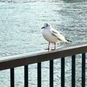 ヒメ日記 2025/02/19 07:54 投稿 美優（みゆ） ビッグバード