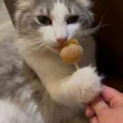 ヒメ日記 2025/04/19 09:44 投稿 美優（みゆ） ビッグバード