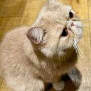 ヒメ日記 2025/06/07 21:34 投稿 美優（みゆ） ビッグバード