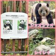 美優（みゆ） 会いにヽ(；▽；)っ記 ビッグバード