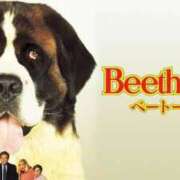 ヒメ日記 2025/05/20 08:44 投稿 奈津（なつ） ビッグバード