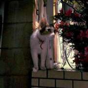 ヒメ日記 2025/08/05 11:24 投稿 奈津（なつ） ビッグバード