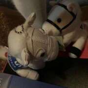 ヒメ日記 2025/09/22 23:54 投稿 奈津（なつ） ビッグバード