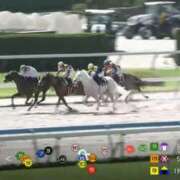 ヒメ日記 2026/06/28 19:24 投稿 奈津（なつ） ビッグバード