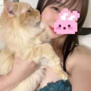 ヒメ日記 2025/11/16 23:50 投稿 さゆな THE ESUTE 五反田店