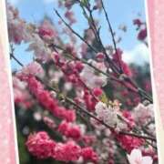 ヒメ日記 2025/04/17 10:12 投稿 つかさ 逢って30秒で即尺