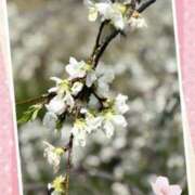 ヒメ日記 2025/04/27 09:26 投稿 つかさ 逢って30秒で即尺