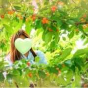 ヒメ日記 2025/06/17 03:19 投稿 つかさ 逢って30秒で即尺