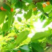 ヒメ日記 2025/06/17 10:51 投稿 つかさ 逢って30秒で即尺