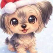 ヒメ日記 2025/12/22 11:35 投稿 つかさ 逢って30秒で即尺