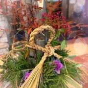 ヒメ日記 2026/01/01 19:36 投稿 つかさ 逢って30秒で即尺