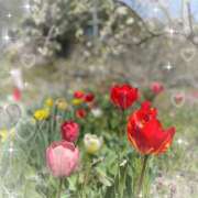 ヒメ日記 2026/03/07 01:57 投稿 つかさ 逢って30秒で即尺