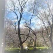 ヒメ日記 2026/03/25 09:54 投稿 つかさ 逢って30秒で即尺