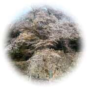 つかさ 御礼 逢って30秒で即尺